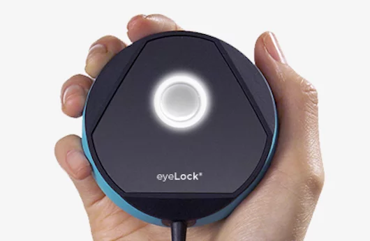 myris uses video to scan over 240 points on each iris and generate a unique 2048-bit digital signature