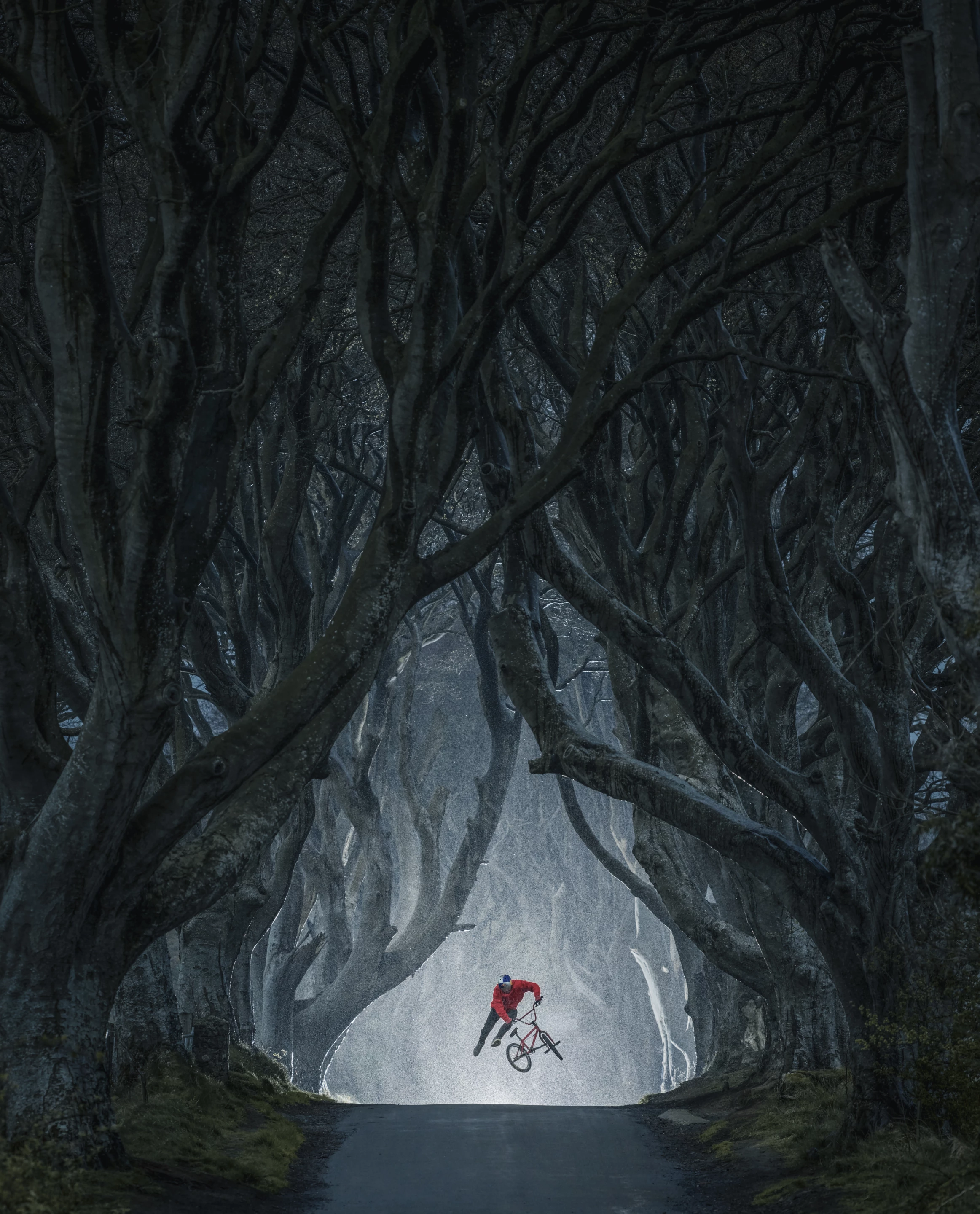The winner of the Masterpiece (by EyeEm) category was Lorenz Holder from Germany, for an eerie image of Senad Grosic through the Dark Hedges in Northern Ireland
