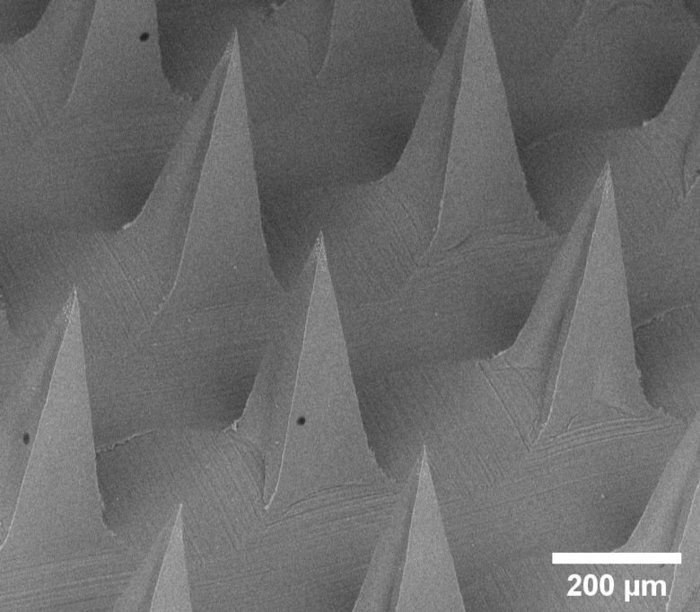 Each microneedle is just 0.2 mm wide at the base
