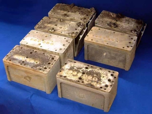 Moss grew in these canisters while in orbit. These particular canisters were recovered by ground crews after the 2003 Space Shuttle Columbia disintegrated upon reentry into Earth's orbit. (Image courtesy of David Reed)