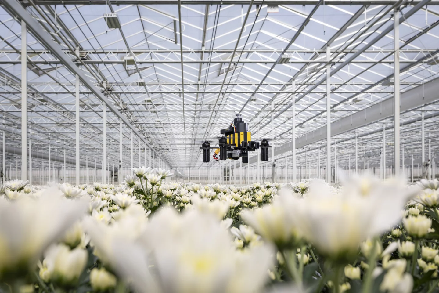The Bee-Nav drone in one of the main places the technology could find use – a commercial greenhouse