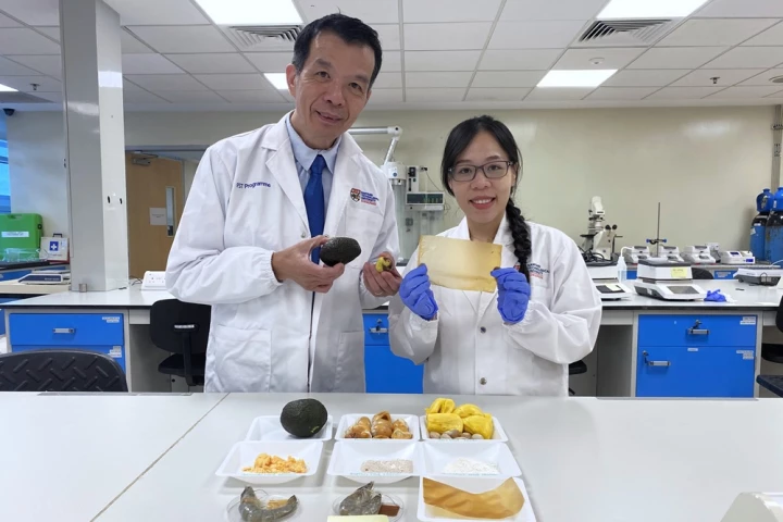 The translucent film utilizes compounds obtained from discarded avocado seeds