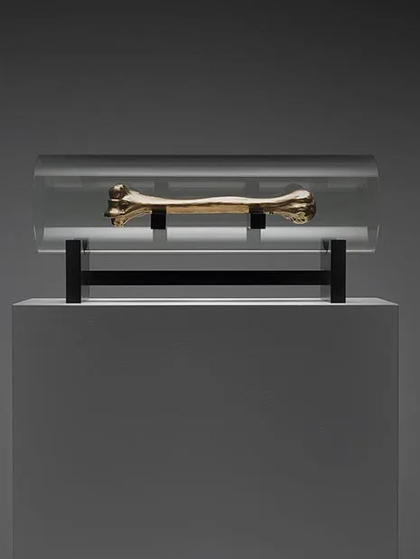 A gold casting of Caspar Berger's humerus
