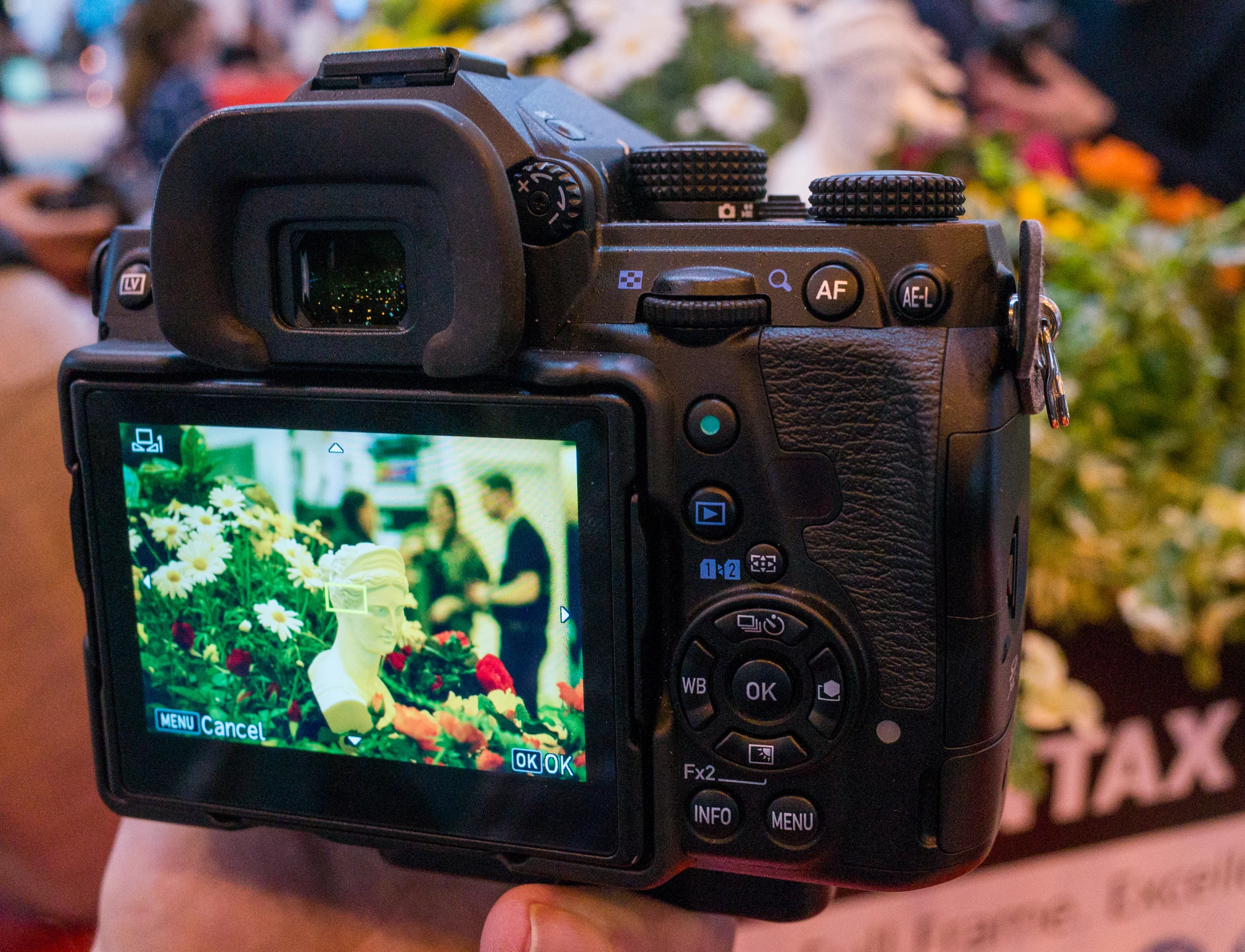 The sensor-shift stabilization in the Pentax K-1 appears to be very effective