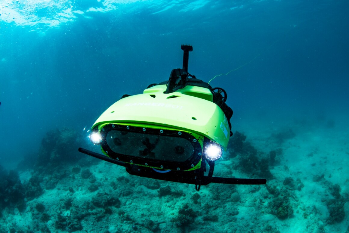 "LarvalBot" underwater robot delivers first batch of coral babies to