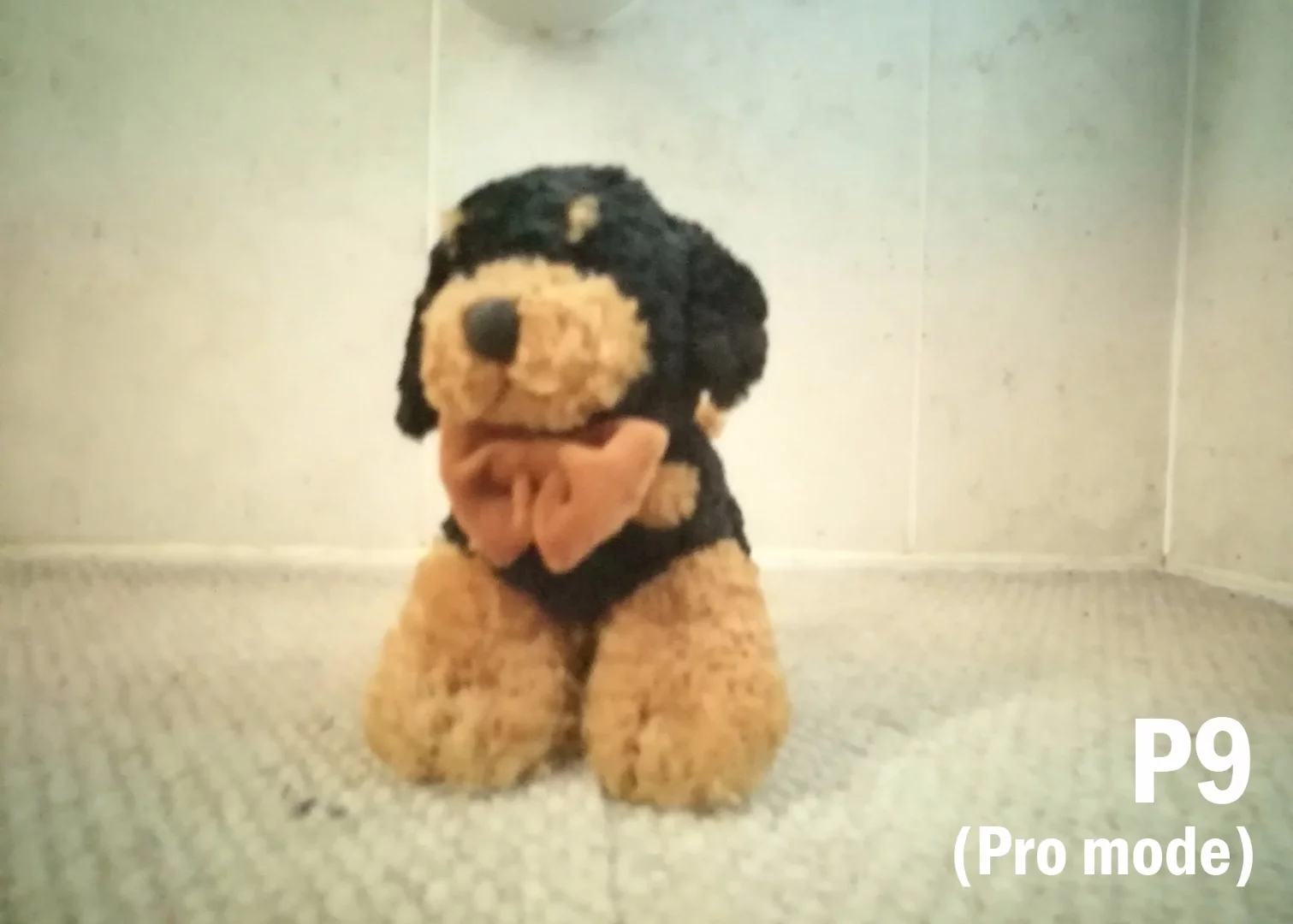 It's not just the quality of the P9's photos that count, it's the ease with which you can access and adjust manual settings