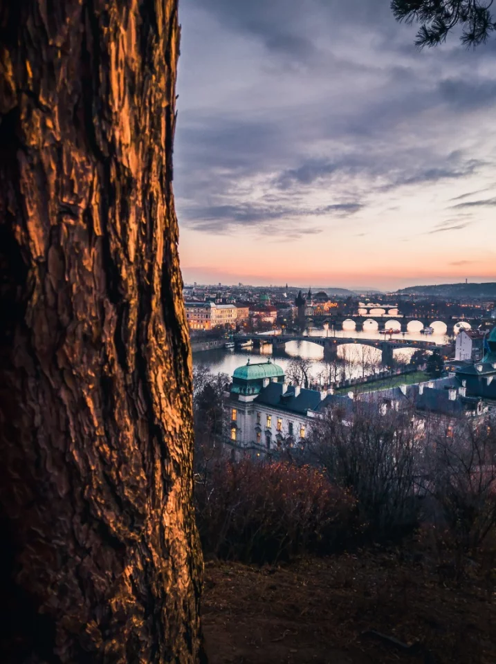 An example of the kind of shots the Nokia 9 PureView can take