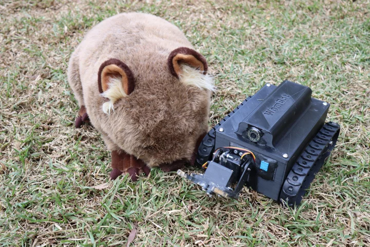 The WomBot, alongside a plush toy wombat for scale