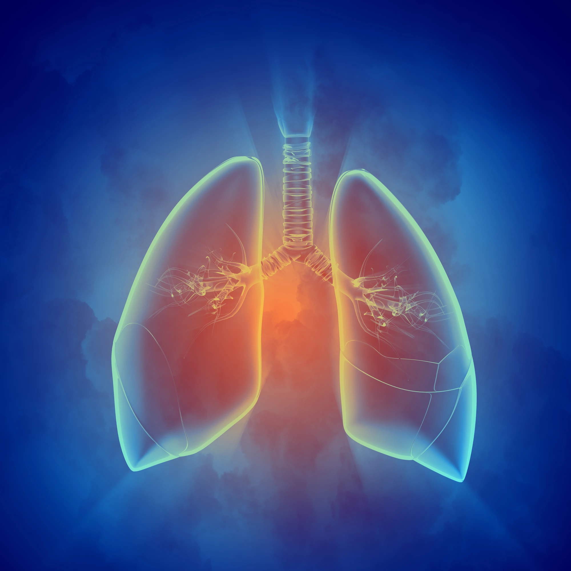A new study has provided the first evidence of plastic particles traveling deep into the lungs of humans
