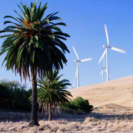 Photo courtesy of PPM Energy (via Intel)