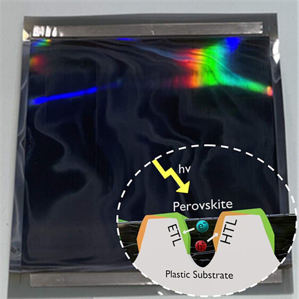 A 4-square-inch sample of the film showing how energy-absorbing perovskite is coated on the plastic substrate