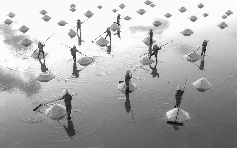 In The Salt Field: Commended in the People category