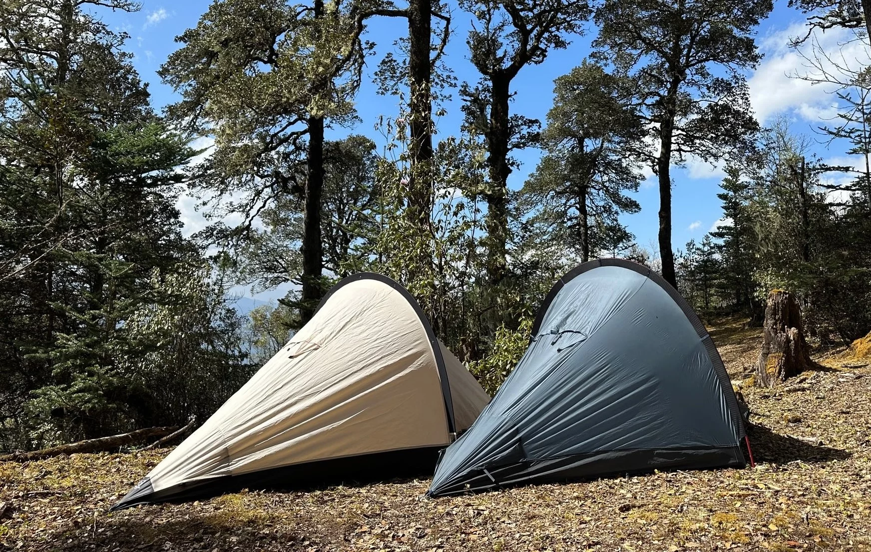 Thecatal goes the opposite direction from its massive Magic Fort, launching one of the lightest, sleekest backpacking tents out there