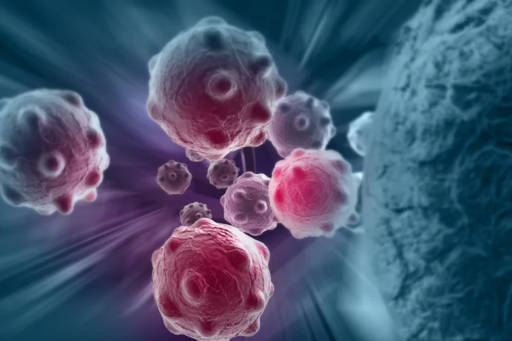 Scientists have discovered a new way to weaponize the immune system against a historically crafty foe – pancreatic cancer