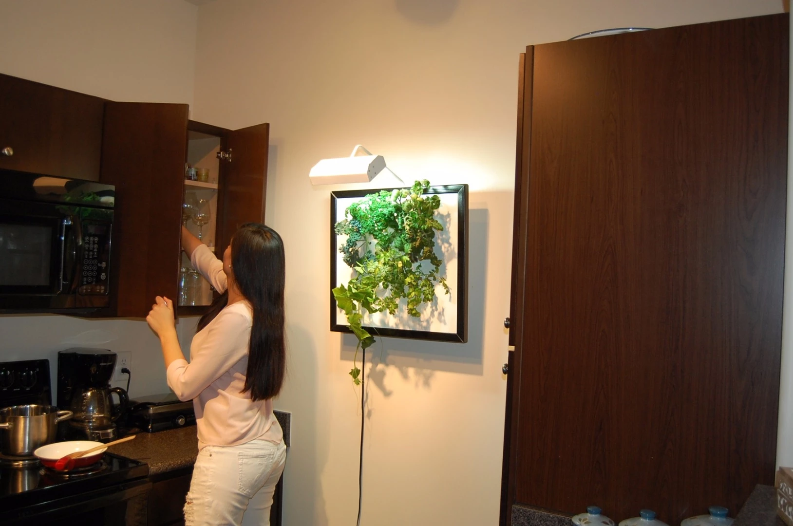 An LED light mounted on the Wall Garden helps the growing process