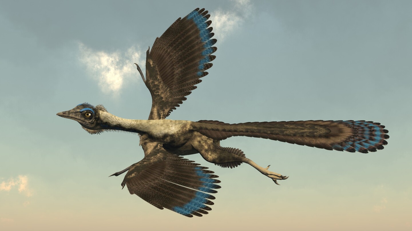 How well could "early bird" dinosaurs actually fly?