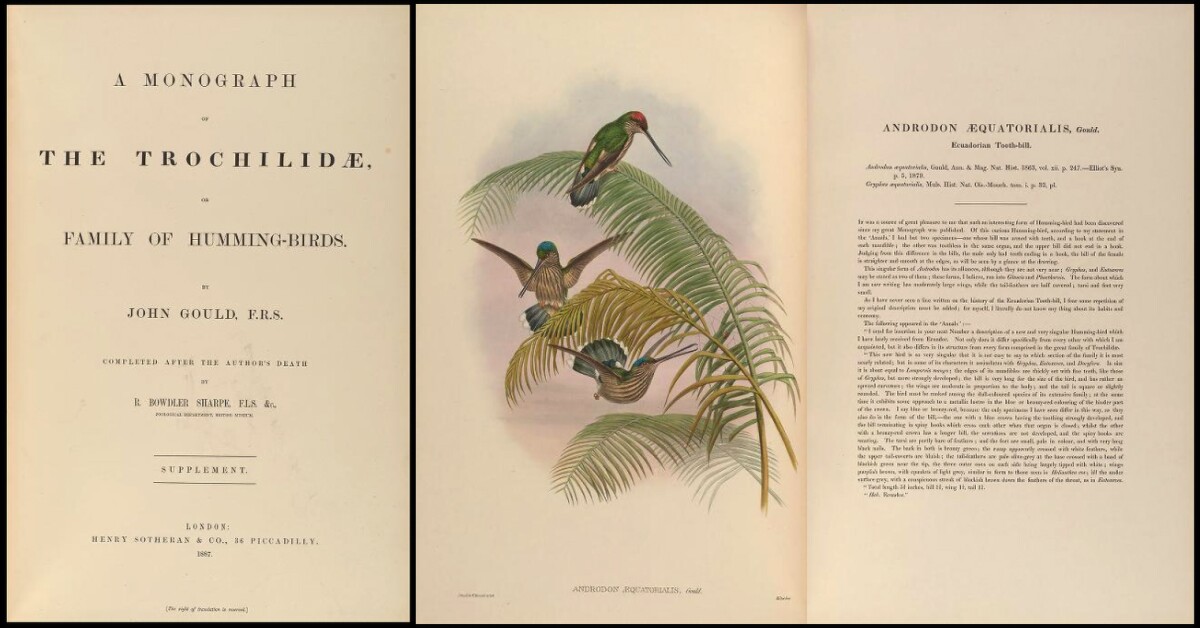 $187,500 | A Monograph of the Trochilidae, or Family of Hummingbirds by John Gould | Auction House: Arader Galleries (no link) | Sale price: US$187,500 | Official Estimate: US$200,000 to $300,000 | Date of sale: September 29, 2018