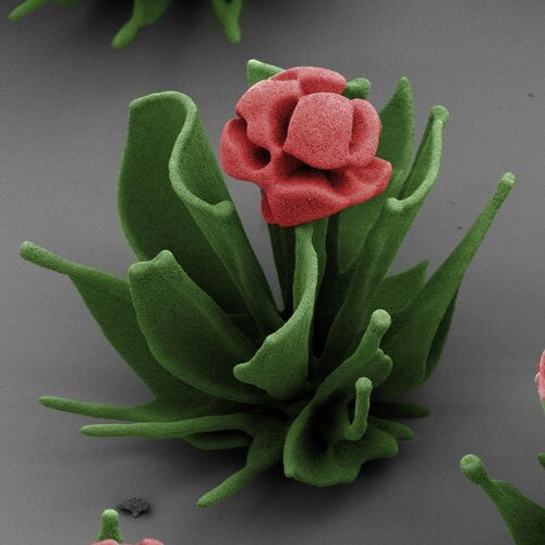 A crystalline tulip, grown by the Harvard scientists