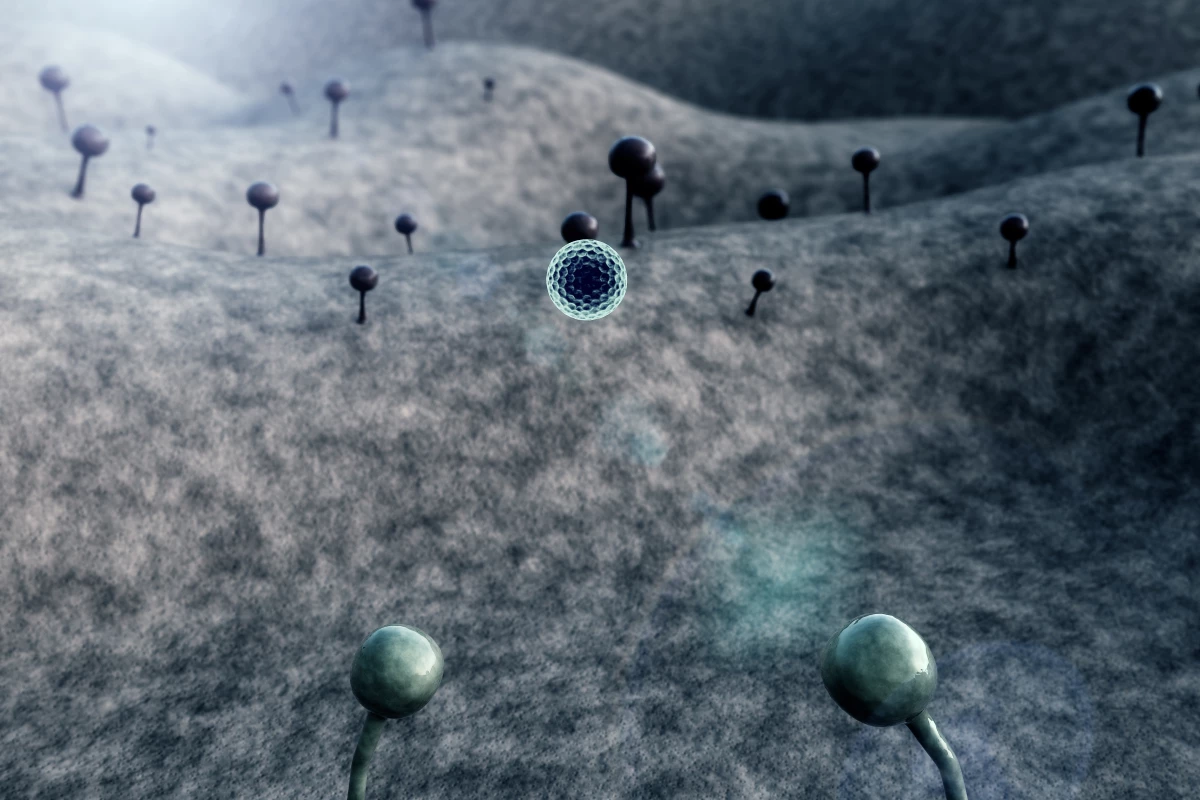 New research has found distinct populations of fungal species living inside tumor cells