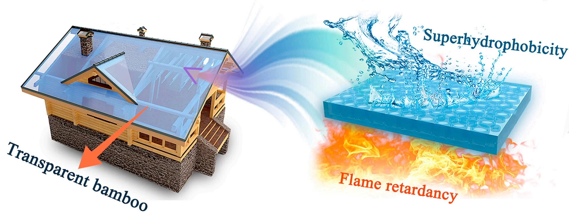A diagram illustrating the transparent bamboo's properties