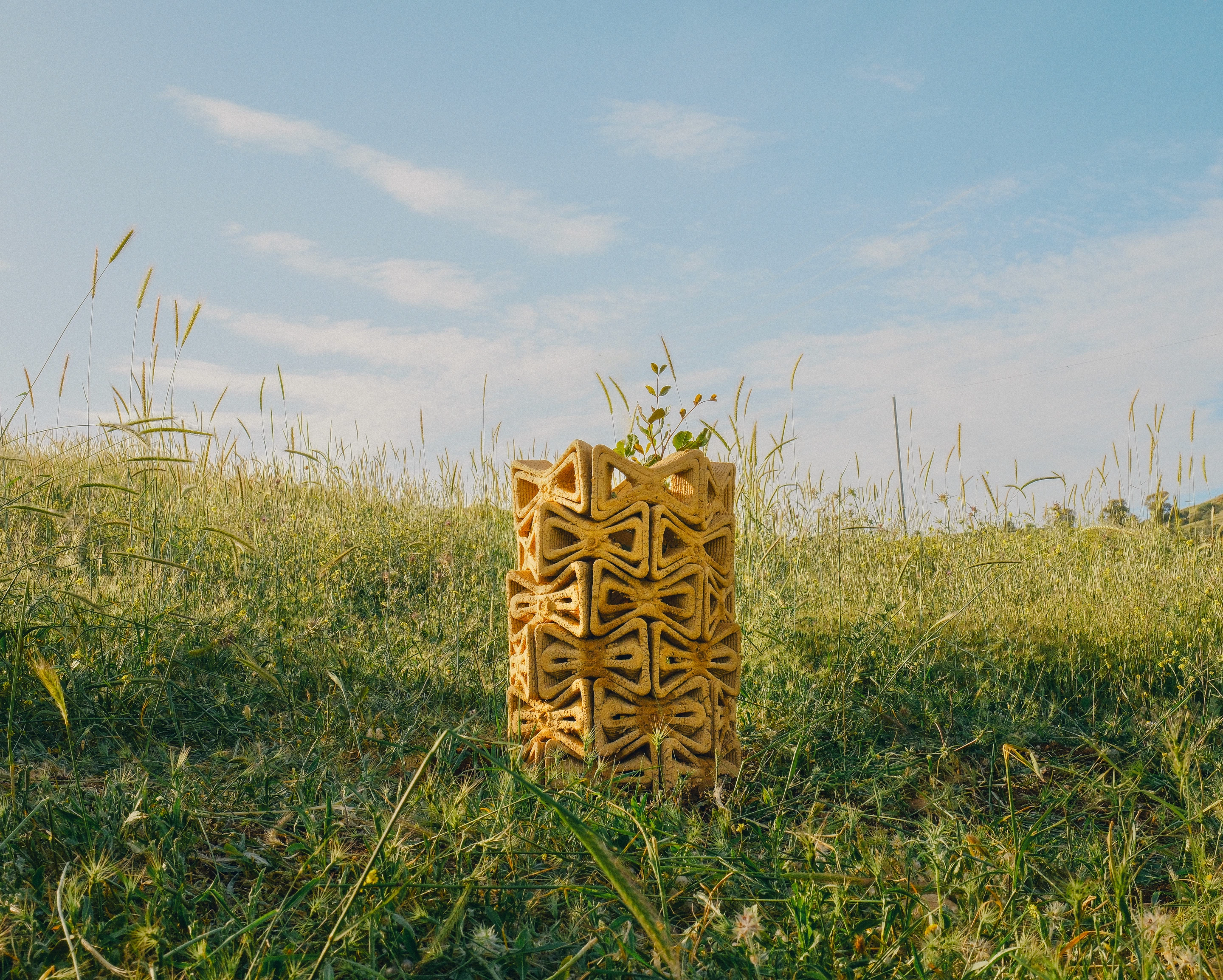 Treesoil's geometry creates a sheltered pocket of climate around the seedling
