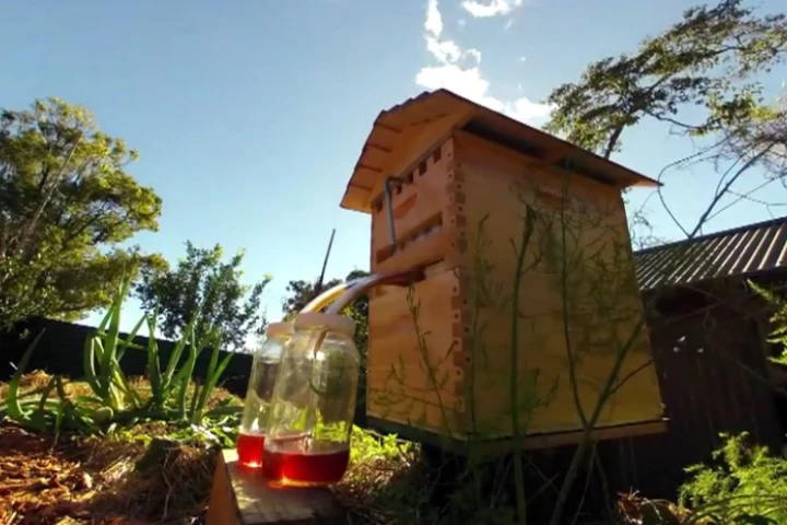 The Honeyflow allows honey to be siphoned straight from a beehive without opening the lid or disturbing the bees inside (Photo: Honeyflow)