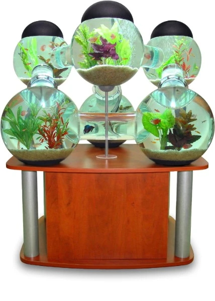 Create a fantastic fishy world with the Labyrinth aquarium