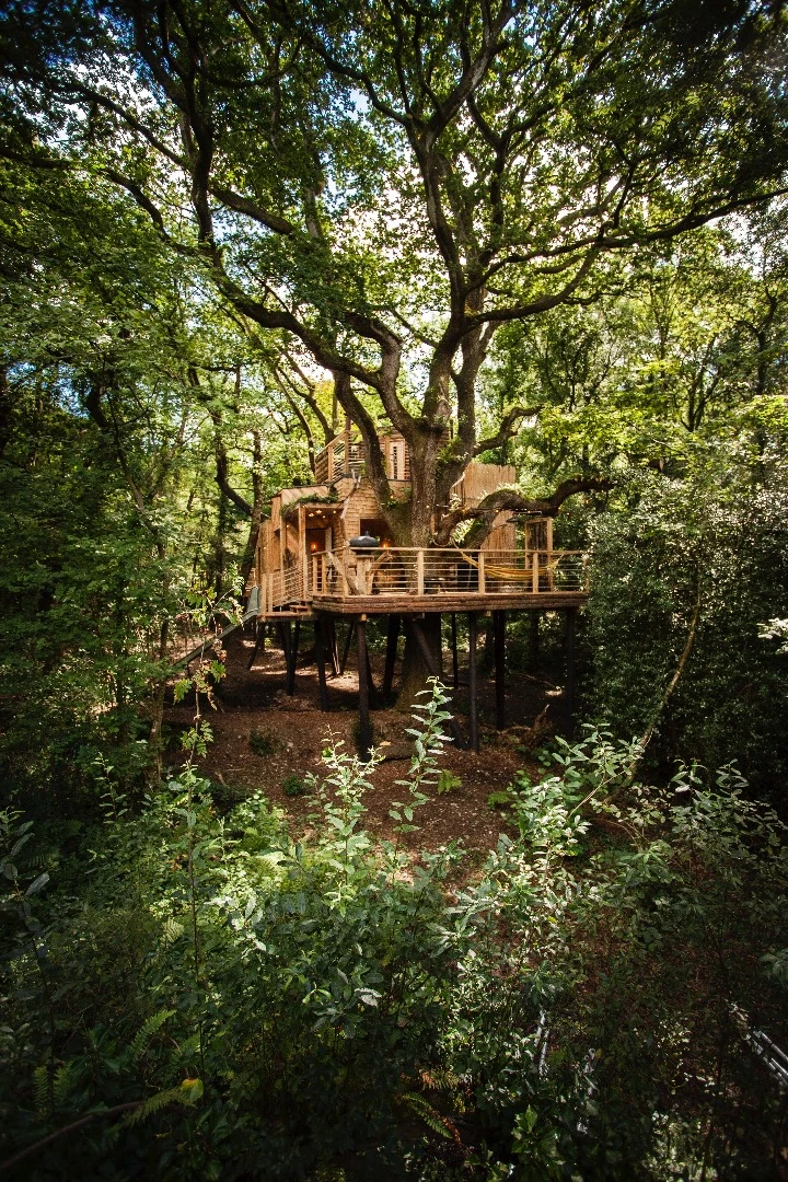 Woodsman's Treehouse was completed in July, 2016