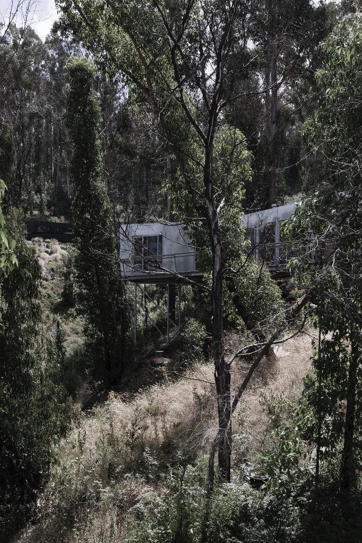 House 28's northern face has fixings for planting wires to encourage native plants to grow over the home