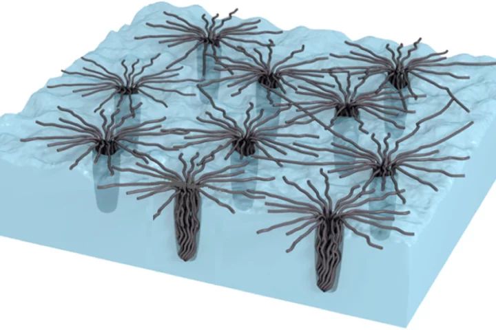 Carbon nanotubes collapse to penetrate and grip a surface