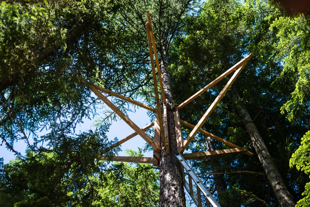In the making of the self-designed and built treehouse (Photo: Ethan Schlussler)