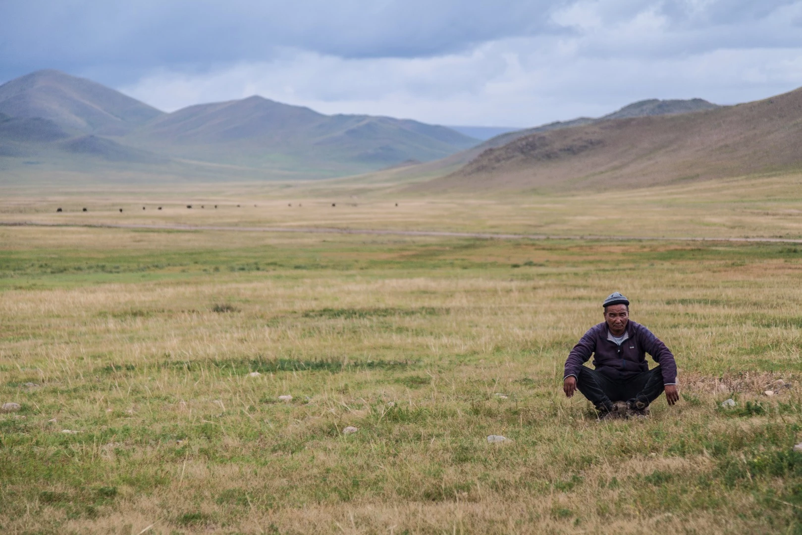 Relaxing in the middle of the steppe, a few yaks in the background. Between Telmen and Nomrog