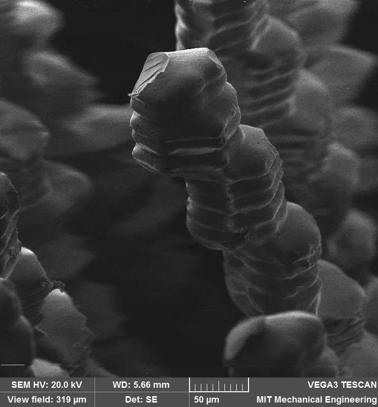 The 3D printed hair, as shown under a microscope with the voxel structure clearly visible