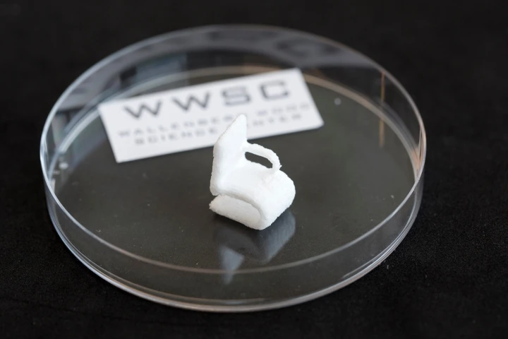 The same material that gives trees their structural integrity can now be used to 3D print tiny chairs, electrical circuits, and other objects