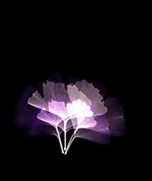 Another image created by a user on the BODYSHELF