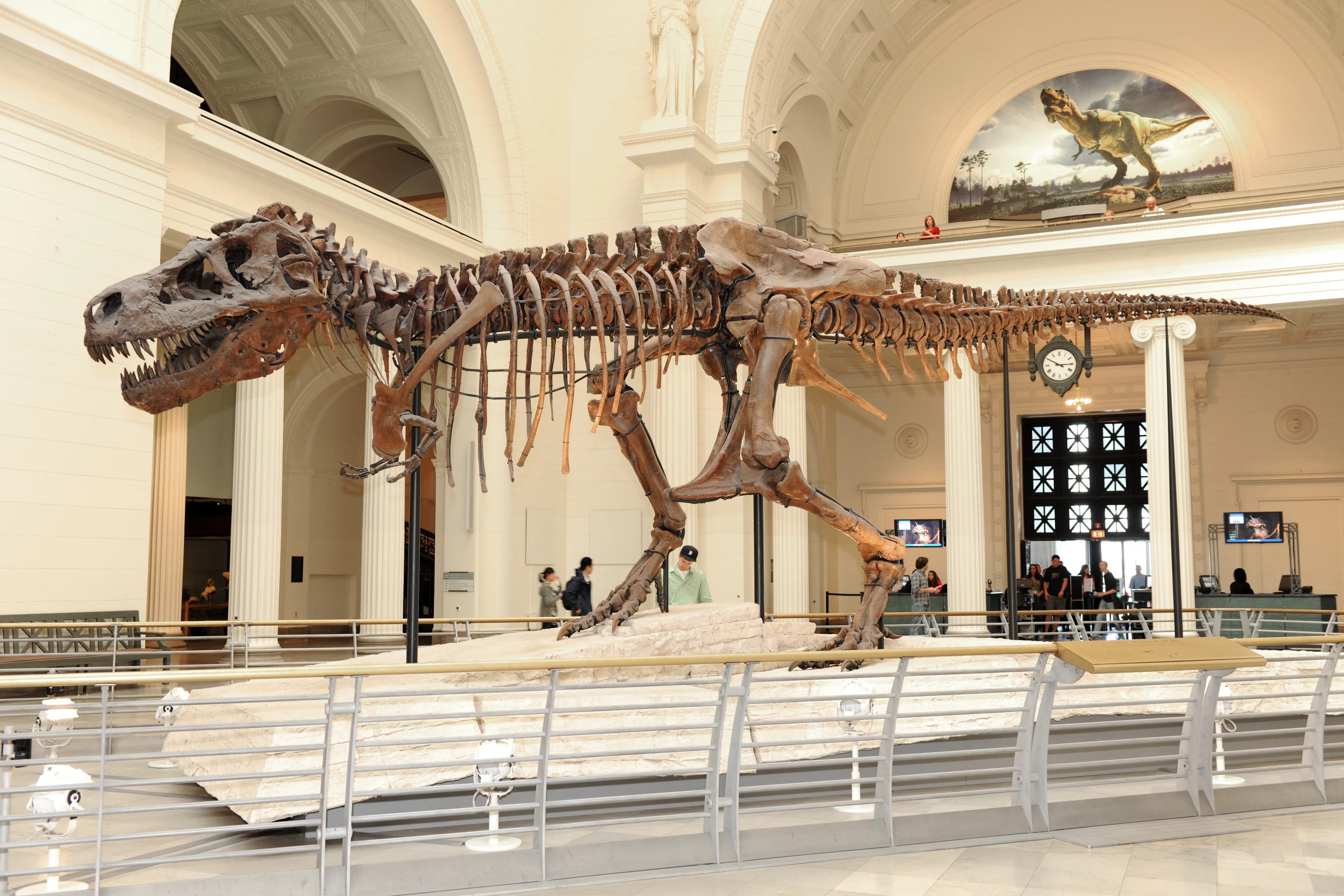 The SUE Tyrannosaurus rex skeleton at Chicago's Field Museum