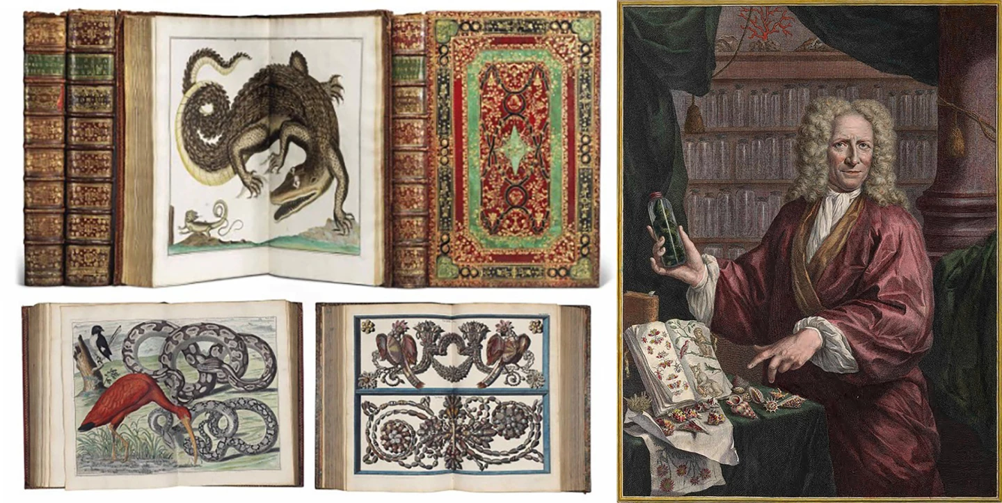 Illustrations from Locupletissimi rerum naturalium thesauri by Albertus Seba. A First Edition of this work sold for $607,649 (EUR €511,500) at Christies on November 28, 2017.