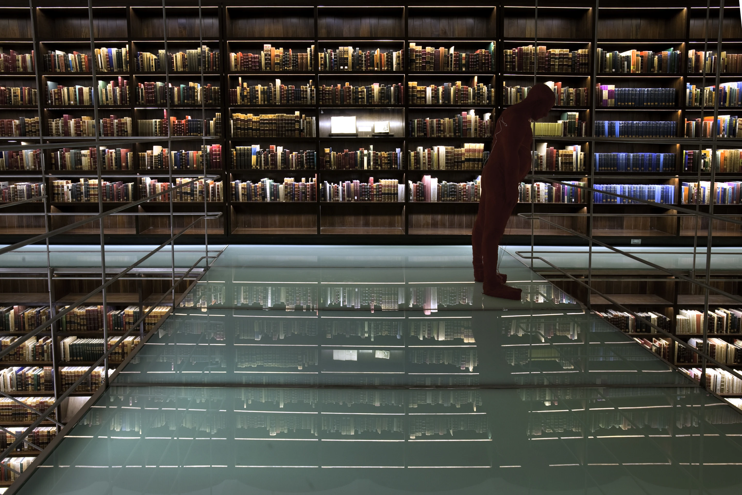 Linear strips of LED lights are mounted in each bookshelf