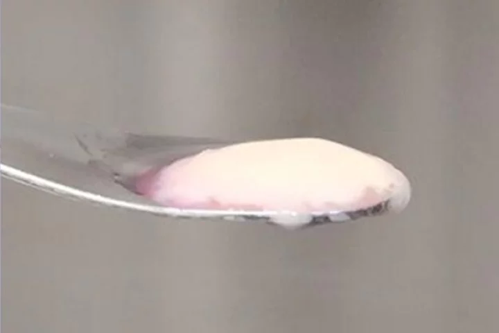 It doesn't look too appetizing, but this cultured meat grown from mouse cells could lead to better lab-grown meat