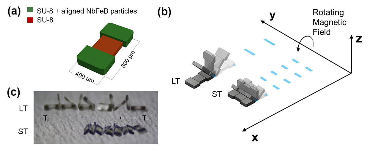 The microTUM robot tumbles end over end to traverse tricky terrain inside the body