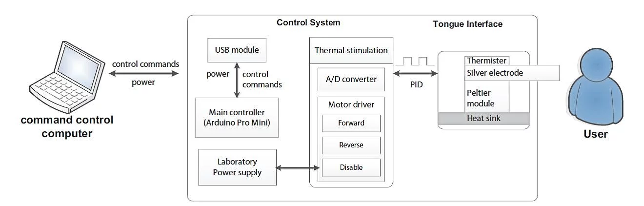 Schematic diagram of the digital taste interface (Image: National University of Singapore)