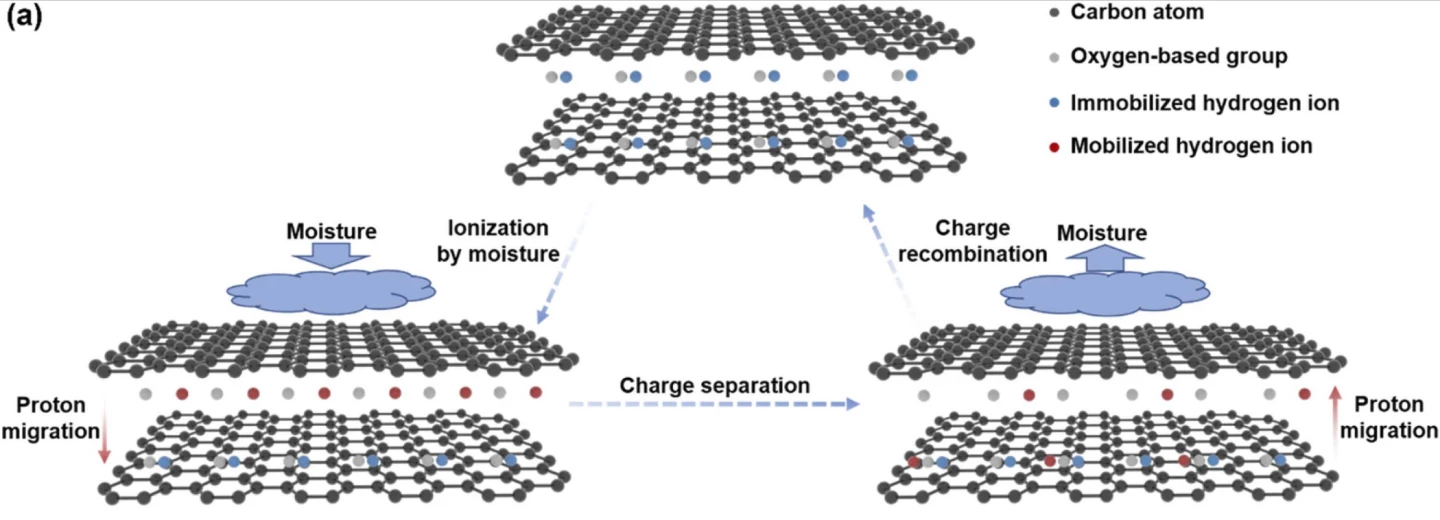 Moisture applied to one side of the cell causes migration of H+ protons to the dry side, creating a charge separation