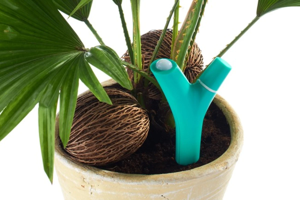 Flower Power is a wireless device that alerts you via your mobile device when your plants need attention