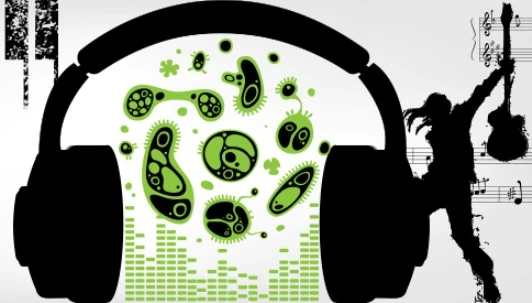 Music sounds better with bacteria: a scientist has swapped graphs for music in order to represent data on microbes