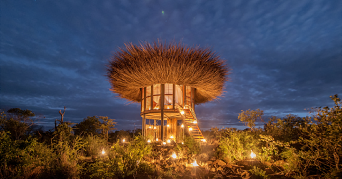 Bird Nest hotel sleeps Kenyan safarigoers above the treetops