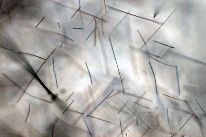 A high-magnification photo of a sand grain containing titanium dioxide in the form of rutile (Photo: Bob Richmond via Flickr)