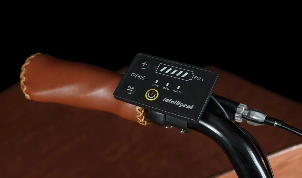 A handlebar-mounted display lets riders choose the amount of assistance provided