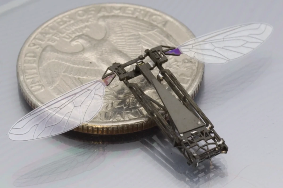 Inspired by origami and children's pop-up books, Harvard engineers have pioneered a means of mass-producing bee-sized flying microrobots from flat laminated sheets