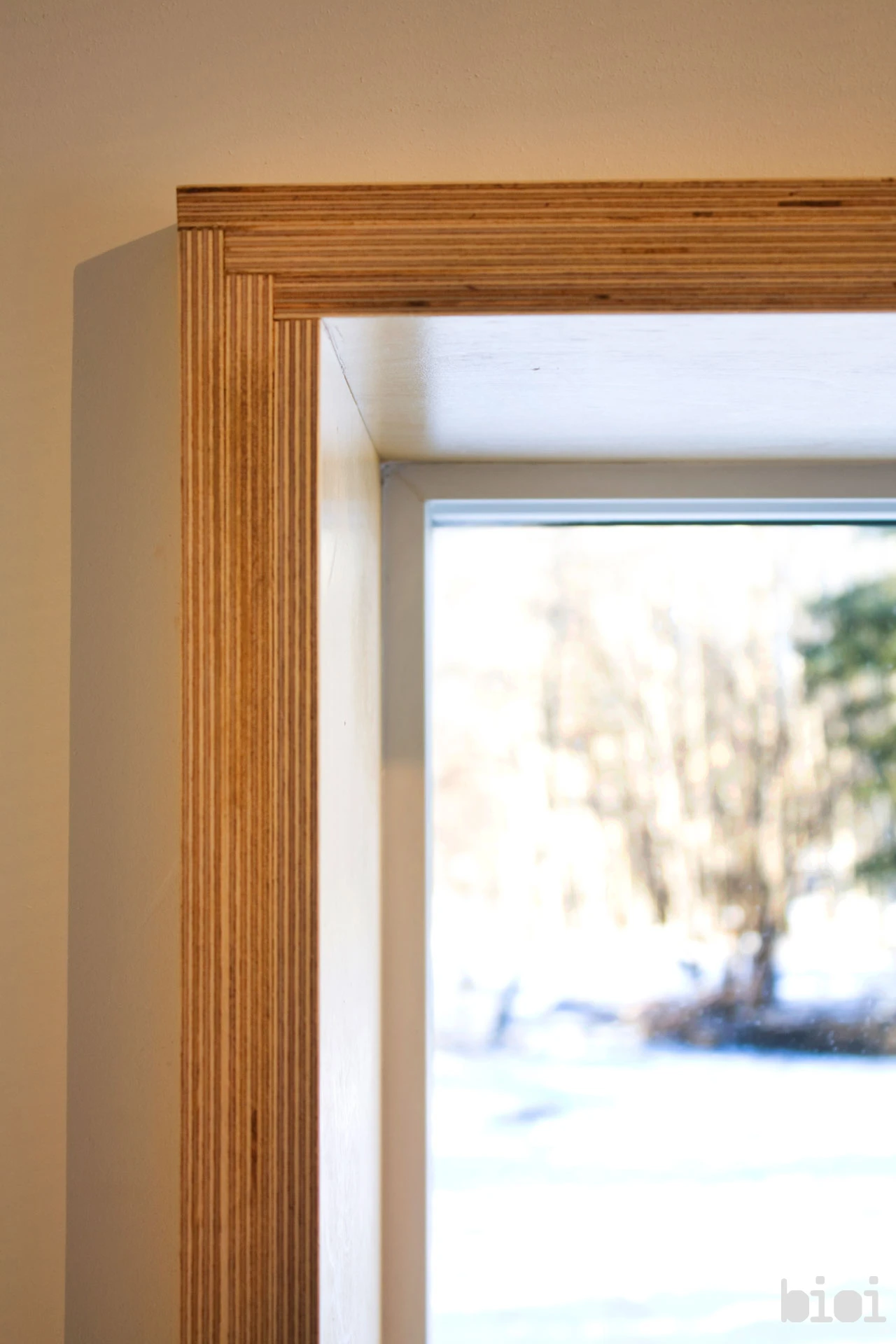 Warburg house by Canadian architects Bioi (Photo by: Alison Anderson)