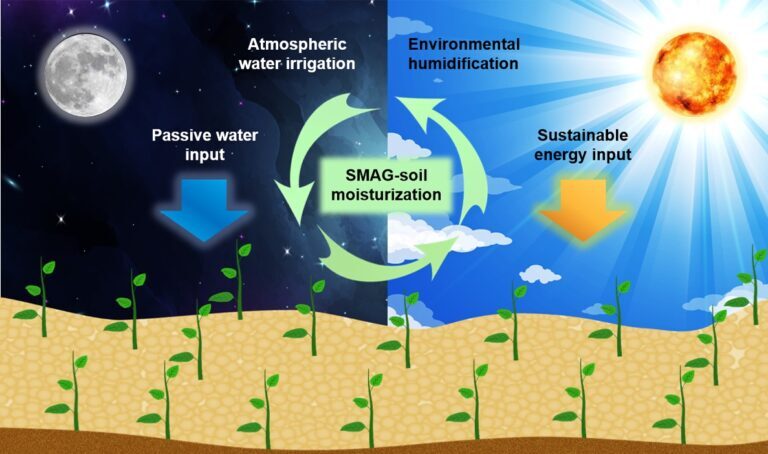 A diagram of the SMAG-soil irrigation process